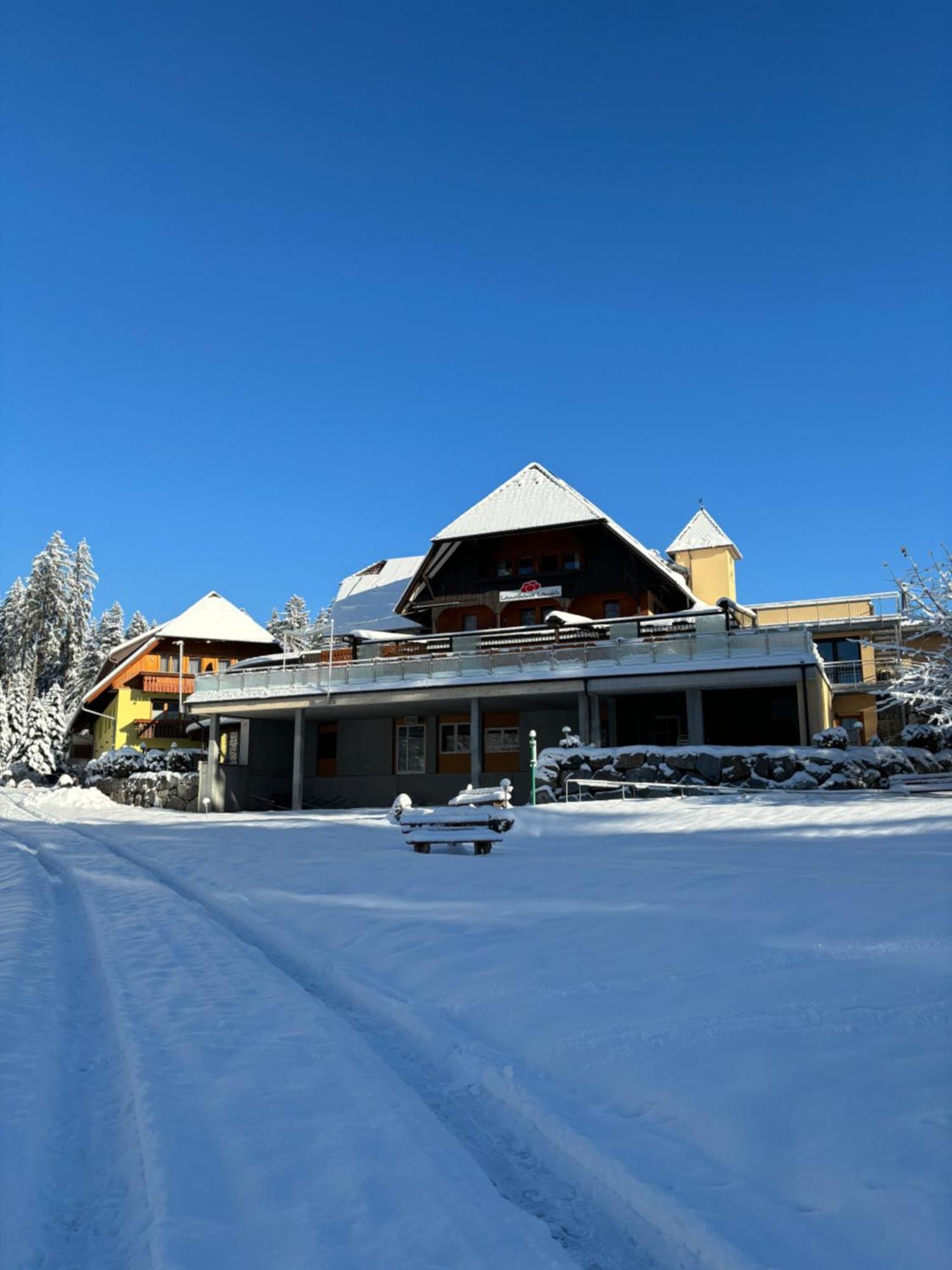Landhaus Lauble Hornberg Extérieur photo